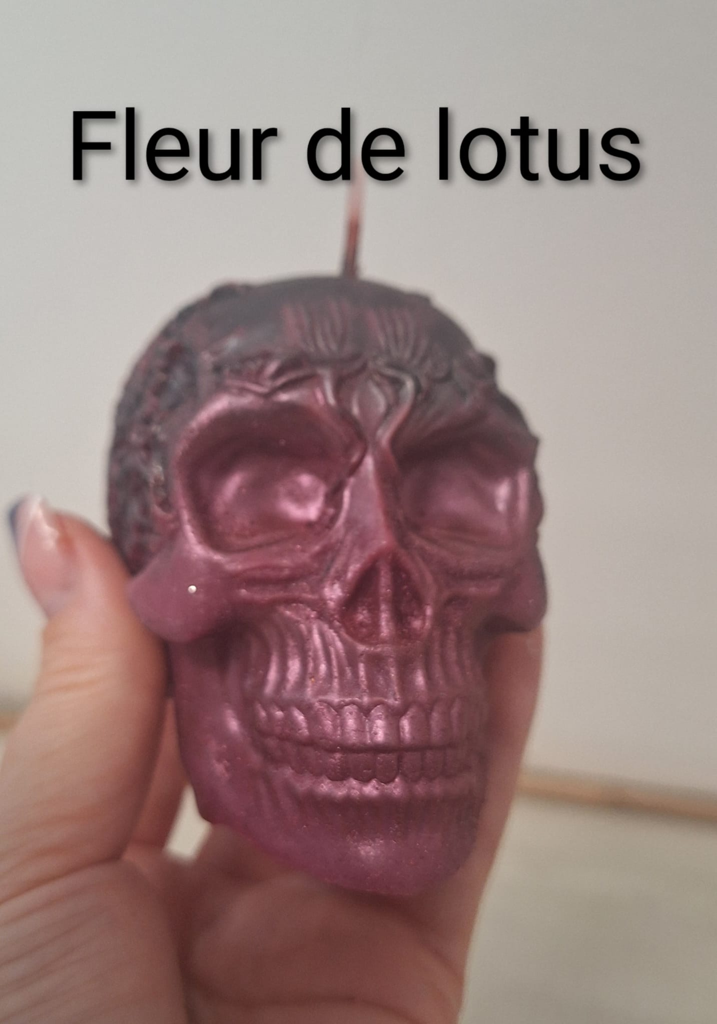 Crâne - Fleur de lotus